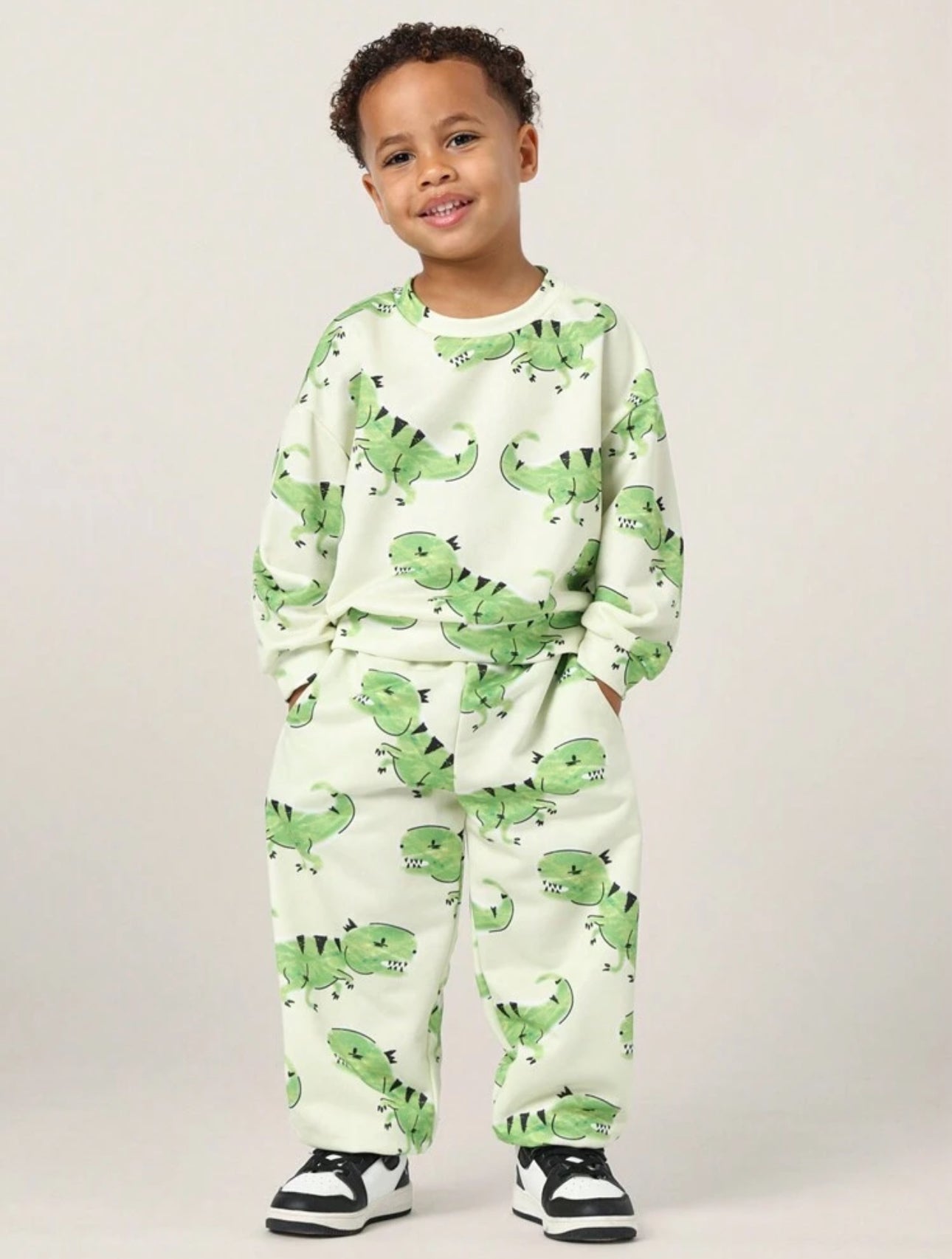 Leo Dinosaur Set