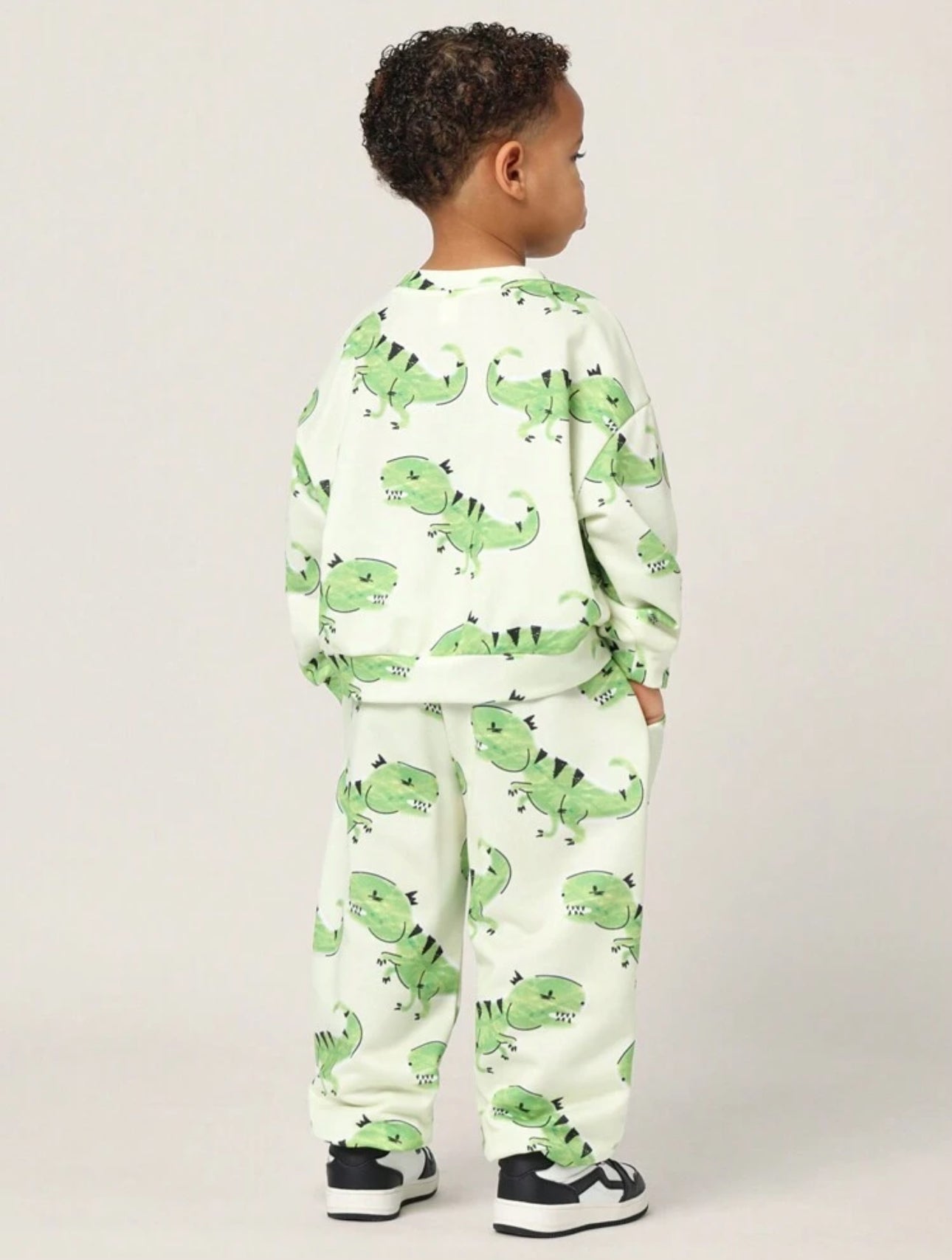 Leo Dinosaur Set