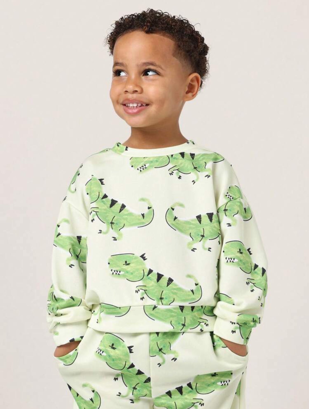 Leo Dinosaur Set