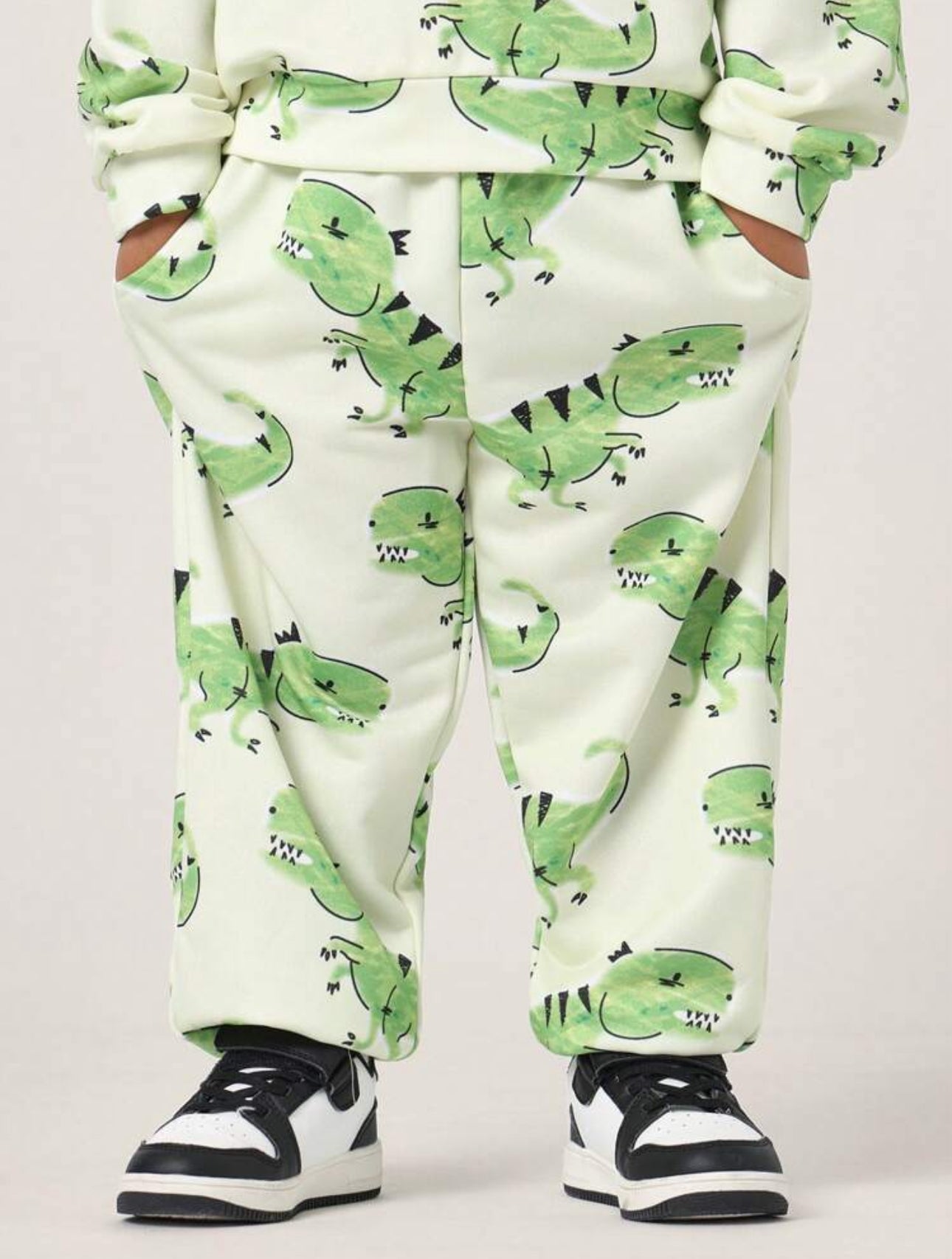 Leo Dinosaur Set
